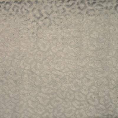 AM001