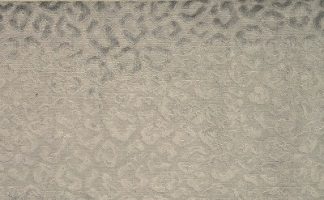 Divina Silver
