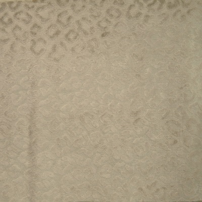 AM002