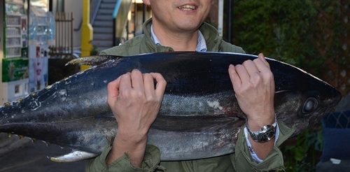 マグロもらった.jpg